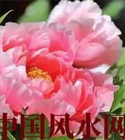 镇江预示你财运上升，姻缘可成的梦境，快来看看吧！