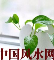 镇江家中摆放六种吉祥物，会打开您的财运大门！