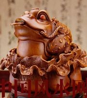 镇江解读金蟾最合适的位置，这样摆放更招财！