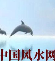 镇江做梦梦到这些，是要富裕的征兆！